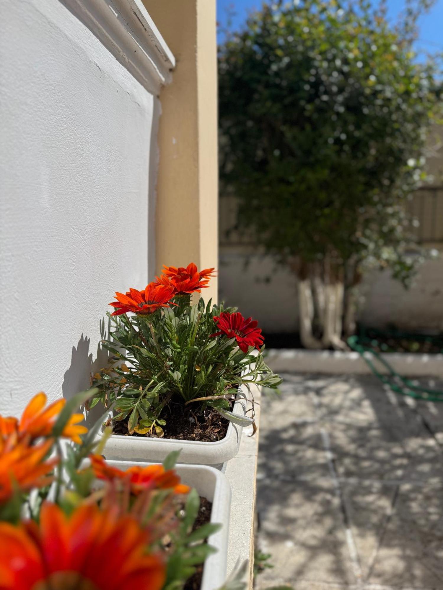 Corfu-apartments4you Διαμέρισμα *
